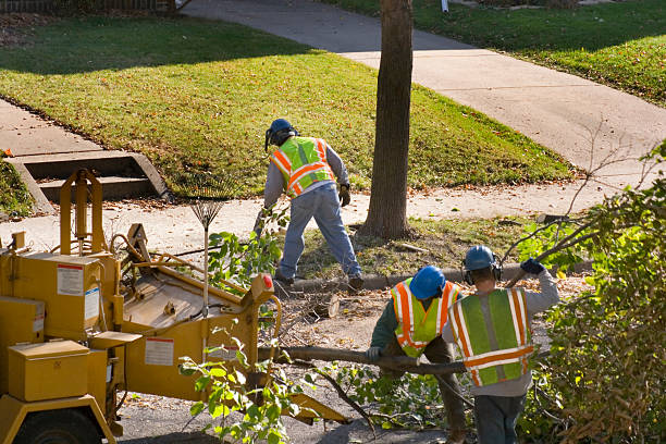 Best Hazardous Tree Removal  in Hudson, PA